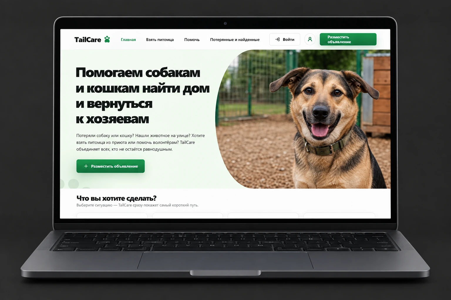 TailCare: визуализация интерфейсов на устройствах