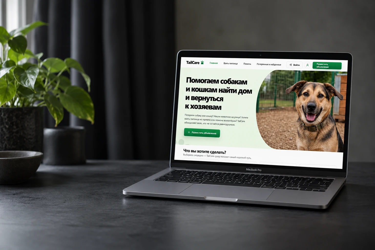 TailCare: визуализация интерфейса на устройствах, стоящих на столе