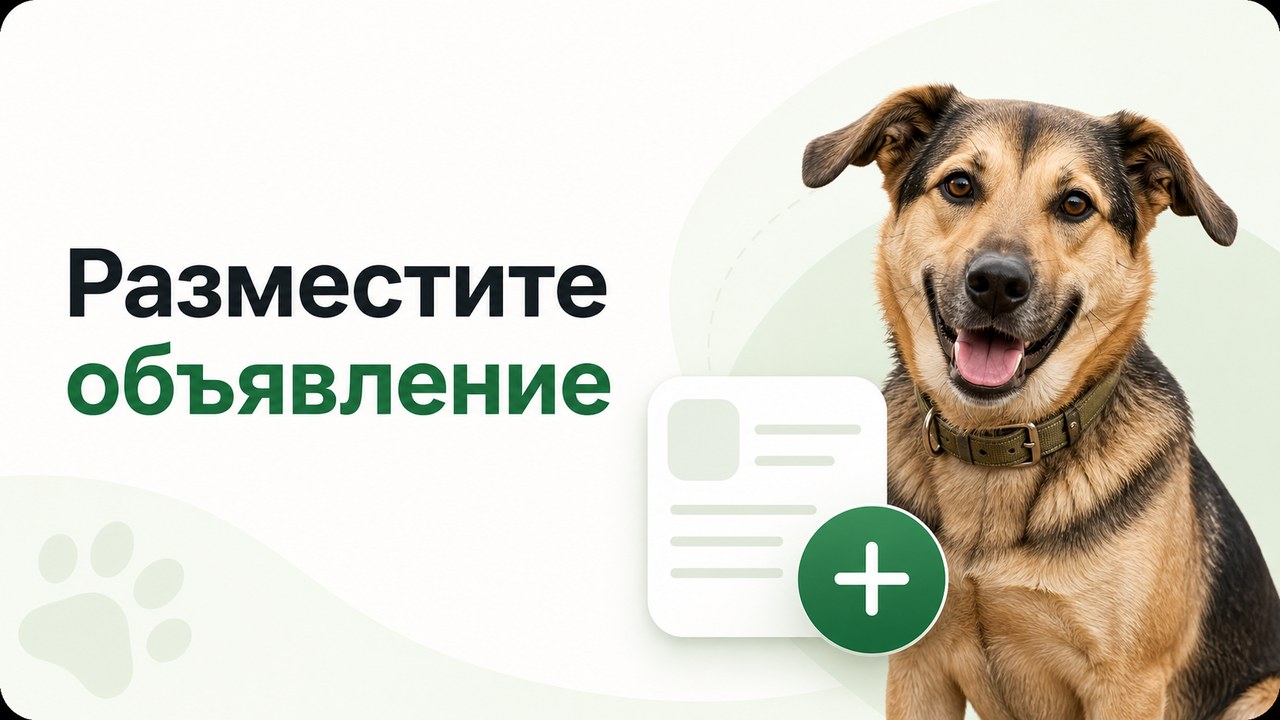 Баннер создания карточки TailCare Bot